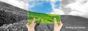 Agricel