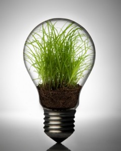 startup2