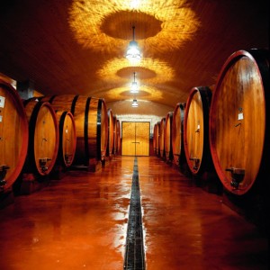 vino-abruzzo