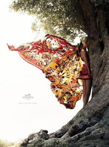 Hermes_buterfly_ad