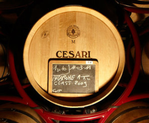 GerardoCesari-vino